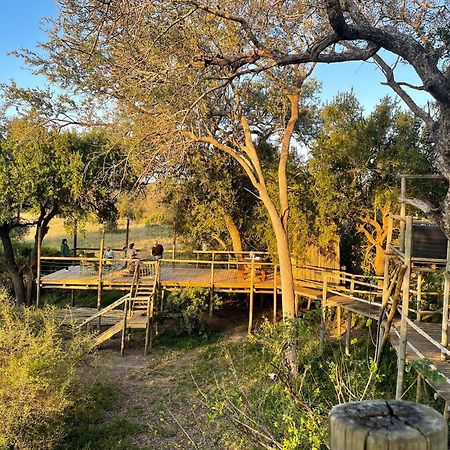 Rhino Walking Safaris Otel Skukuza Dış mekan fotoğraf