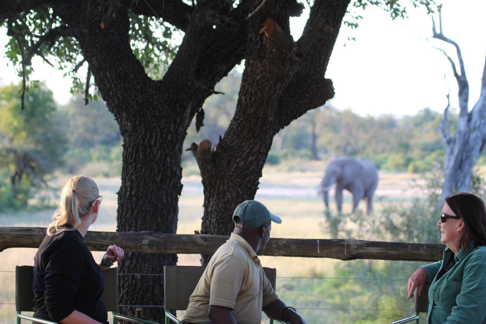 Rhino Walking Safaris Otel Skukuza Dış mekan fotoğraf