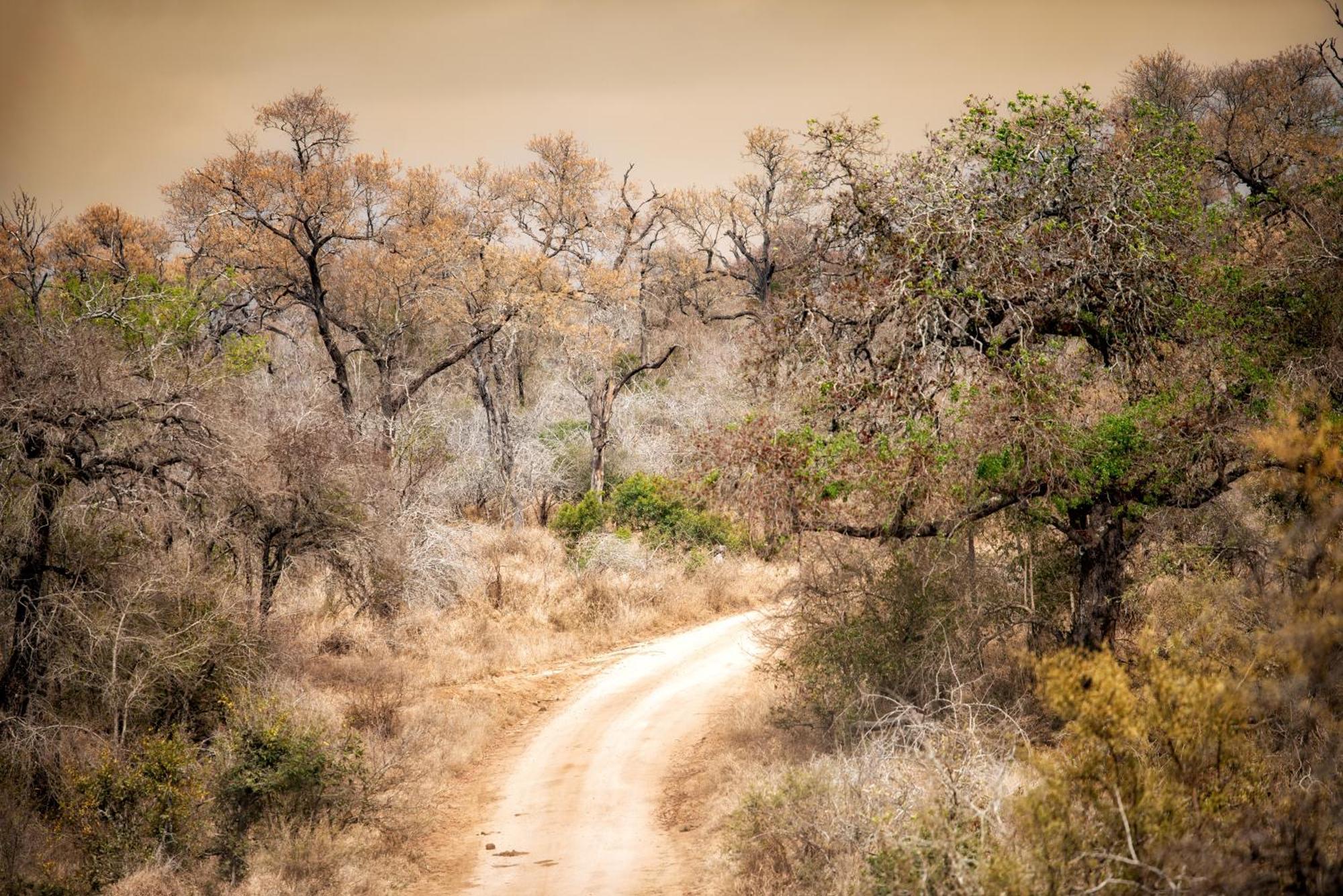 Rhino Walking Safaris Otel Skukuza Dış mekan fotoğraf