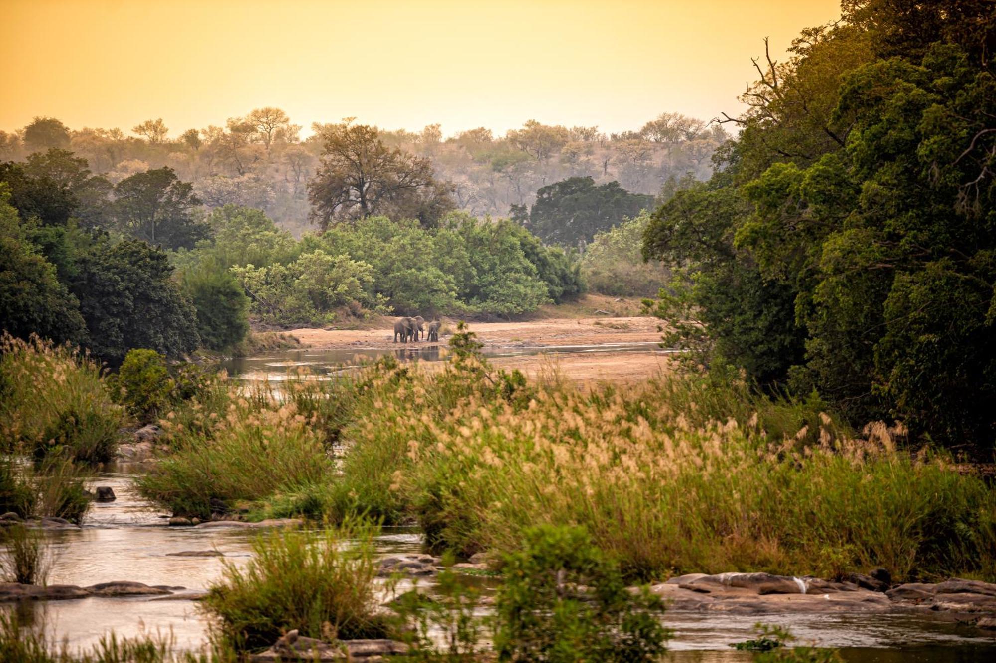 Rhino Walking Safaris Otel Skukuza Dış mekan fotoğraf
