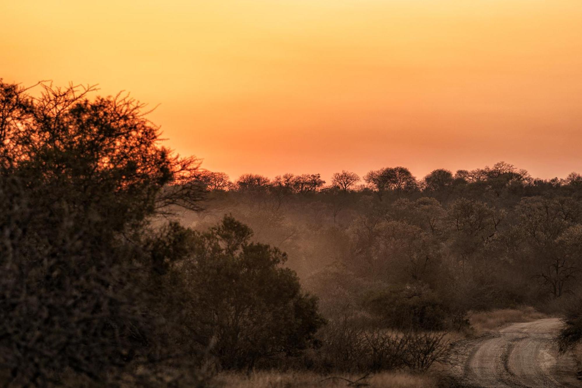 Rhino Walking Safaris Otel Skukuza Dış mekan fotoğraf