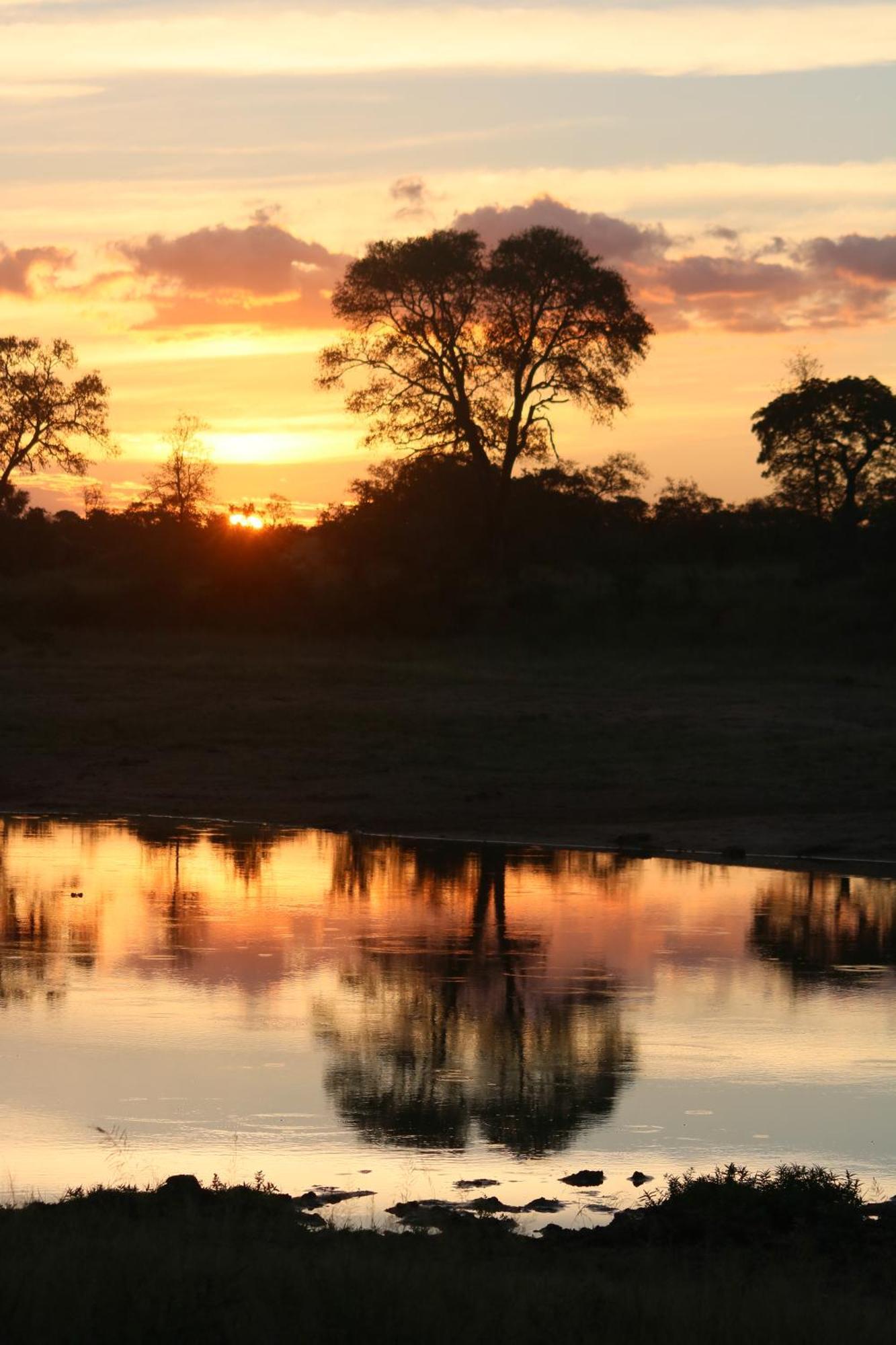 Rhino Walking Safaris Otel Skukuza Dış mekan fotoğraf
