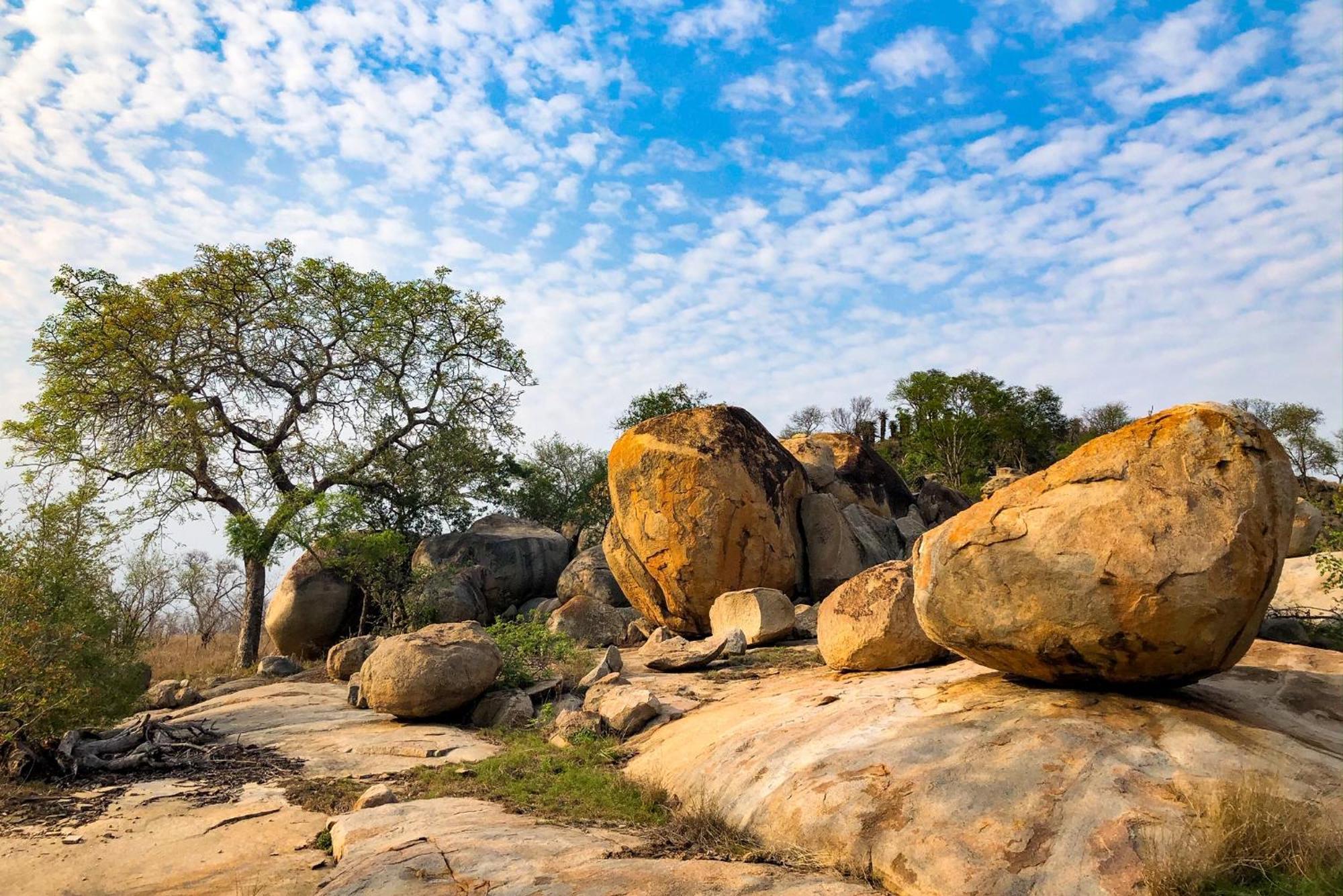 Rhino Walking Safaris Otel Skukuza Dış mekan fotoğraf