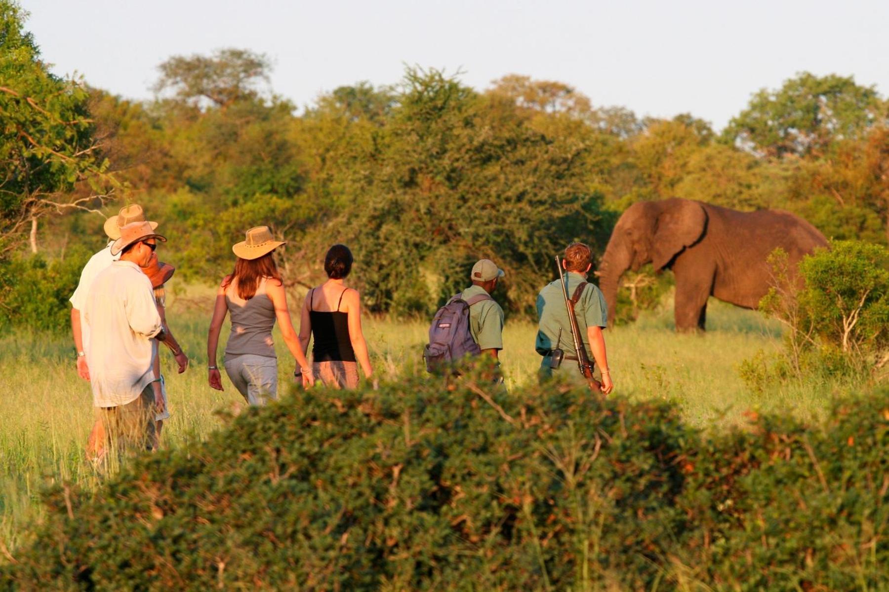 Rhino Walking Safaris Otel Skukuza Dış mekan fotoğraf