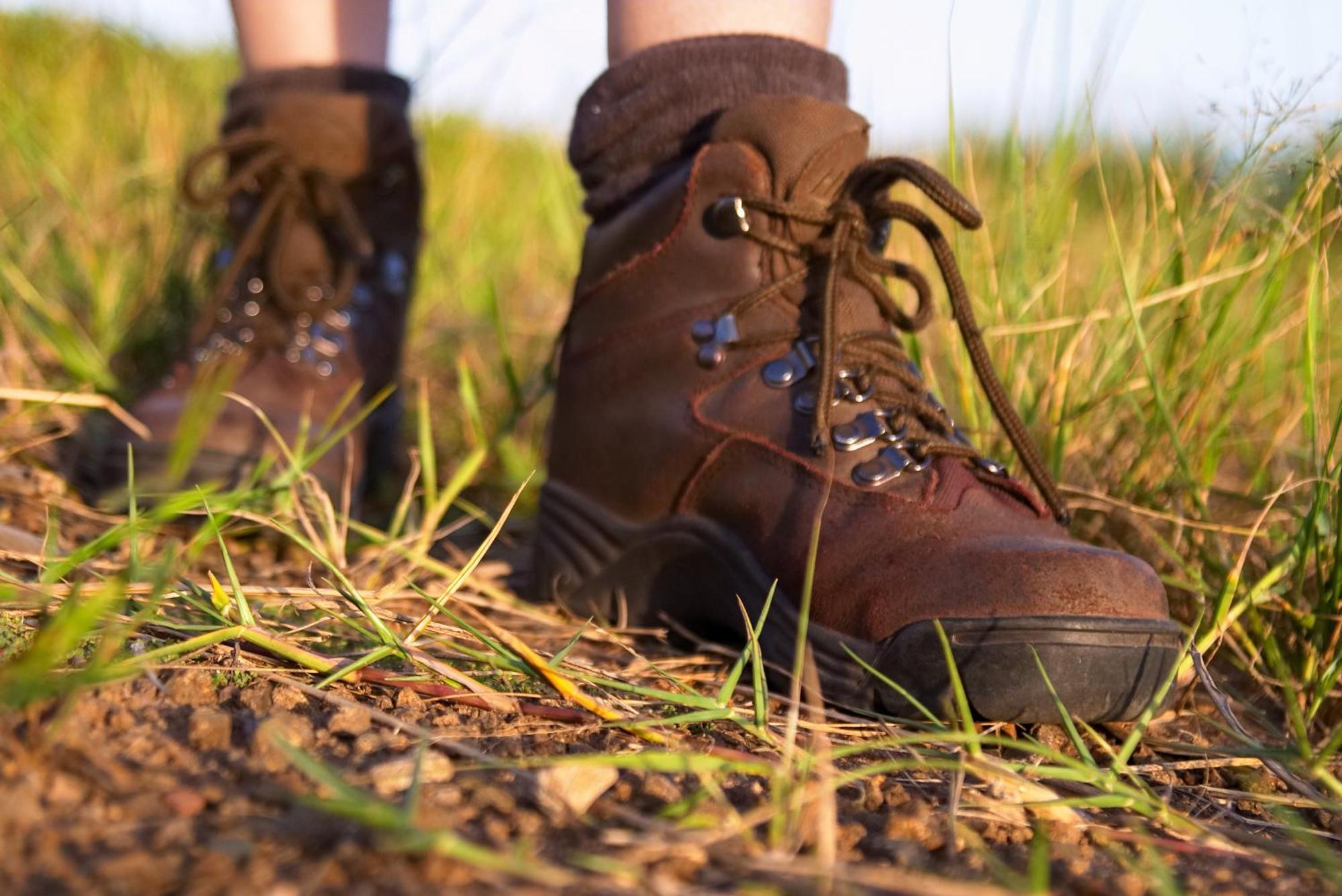 Rhino Walking Safaris Otel Skukuza Dış mekan fotoğraf