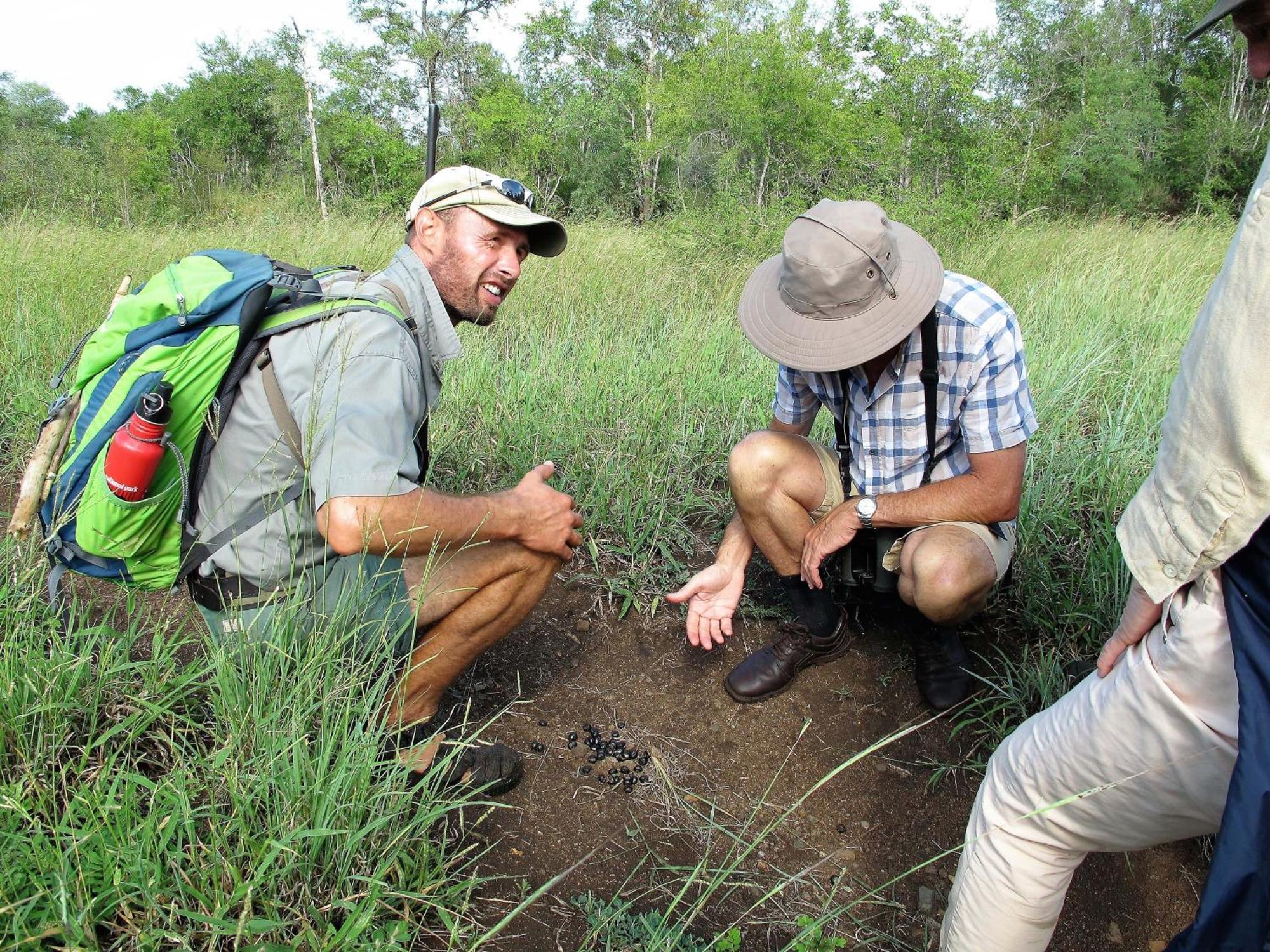 Rhino Walking Safaris Otel Skukuza Dış mekan fotoğraf