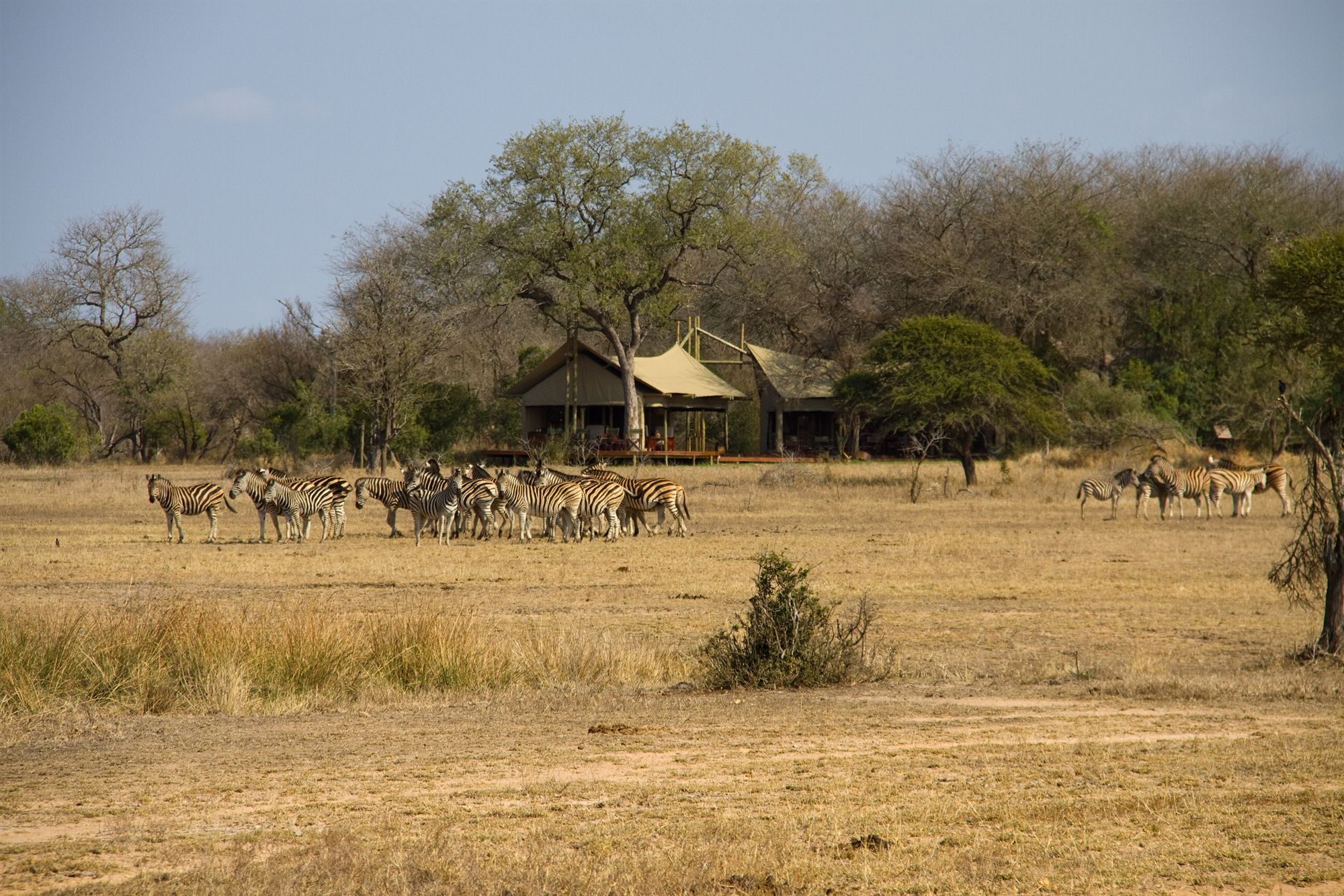 Rhino Walking Safaris Otel Skukuza Dış mekan fotoğraf