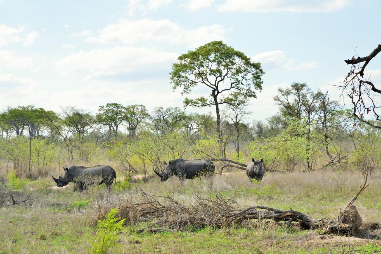 Rhino Walking Safaris Otel Skukuza Dış mekan fotoğraf
